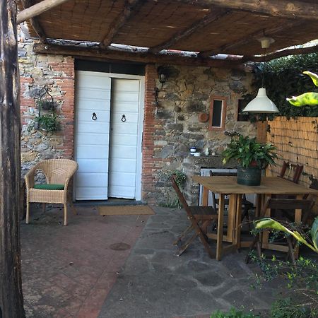 Casa Bouganville Massa Macinaia 外观 照片